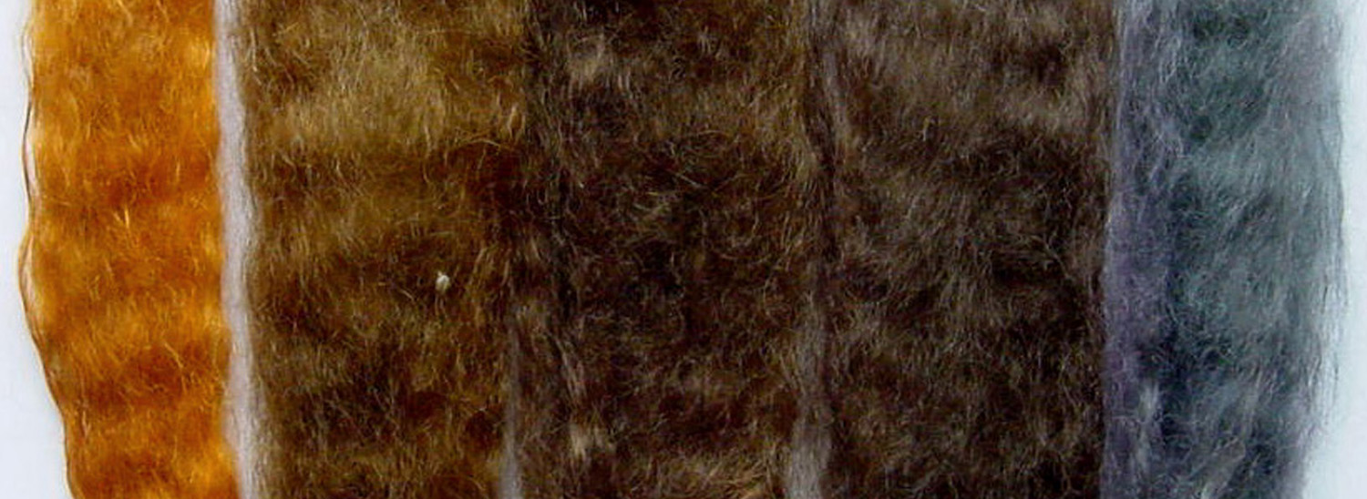 katam Archives Ancient Sunrise